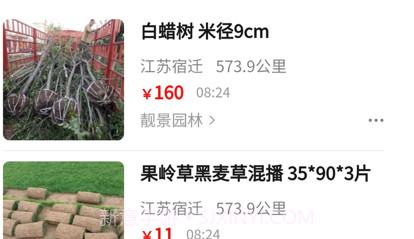苗青青v1.1.17截图