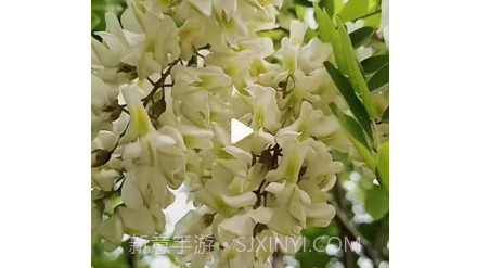 趣豆壳v1.6.16截图