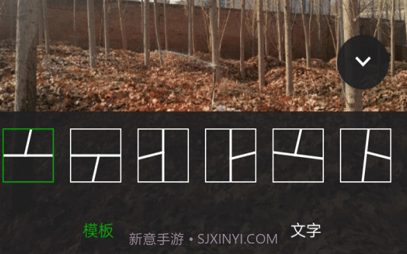 小葡萄v1.0.16截图