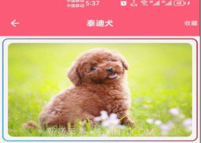 宠物宝宝大全v2.10截图