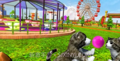 家庭冒险宠物猫v2.12截图