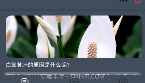 花蜜社v1.17截图