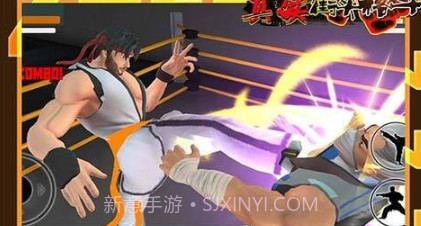真实街头格斗v1.14截图
