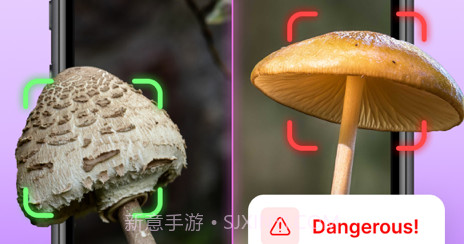蘑菇标识符v1.11截图