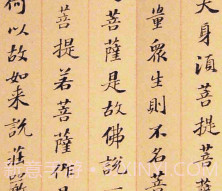 阅读打卡v1.9截图