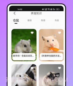 鼠语音翻译器v1.0.11截图