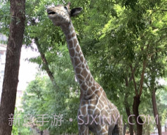 拍拍鹿v1.2.15截图