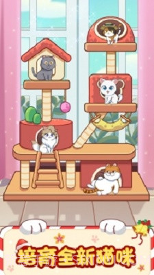 猫咪小家1.0.3截图