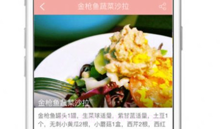 减肥断食食谱大全v5.10截图