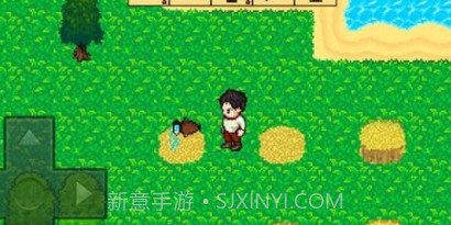 失落的宝藏探险v3.6.14截图