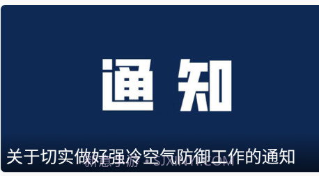 龙港在线v1.0.16截图