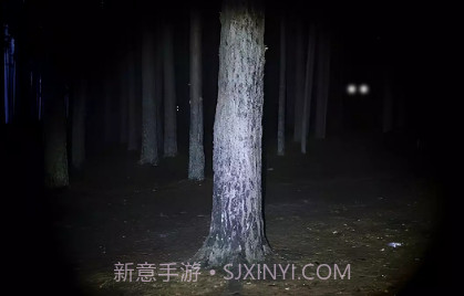 永远不要尖叫v2.0.9截图