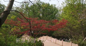 古今v1.0.13截图