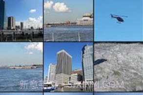 picasav8.2.11截图