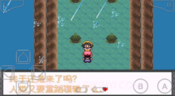 口袋妖怪暗兽神V1.12截图