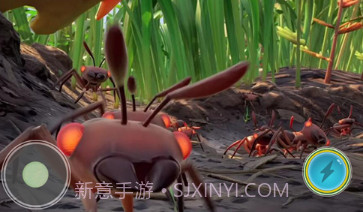 变异国度后院求生v1.14截图