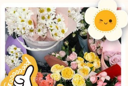 视频美颜P图v1.0.10截图