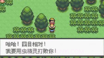 口袋妖怪：极光石V1.9截图