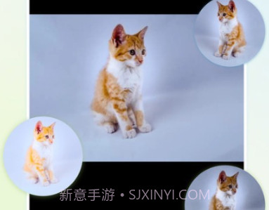 ps图形处理v1.13截图