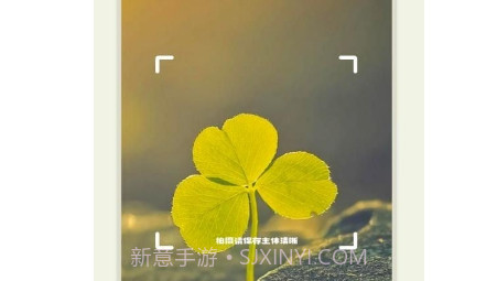 拍照识花大师v1.0.13截图