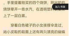 闪文小说v1.2.16截图