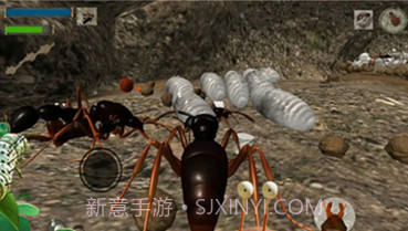 模拟蚂蚁大作战v1.16截图