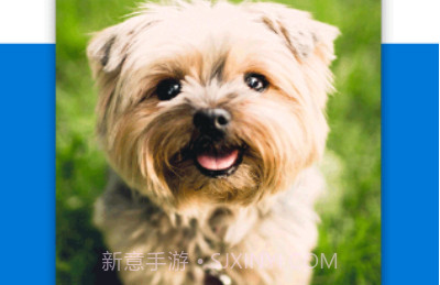 微软网盘OneDrivev2.11.14截图