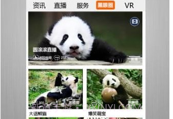 四川手机台v1.2.12截图