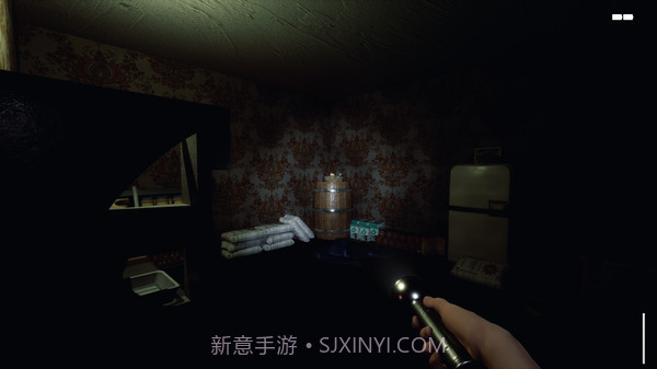 SALIGIAv1.9截图