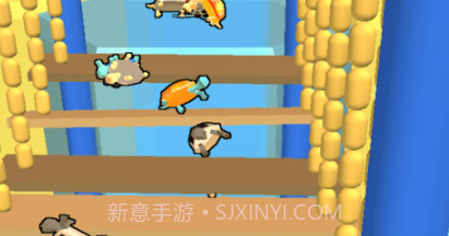 乌龟赛跑淘汰赛v0.1.15截图