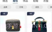 掌商奢汇v1.0.10截图