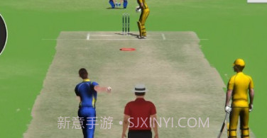 板球比赛冠军3Dv1.15截图