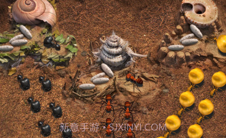 小小蚁国v1.0.13截图