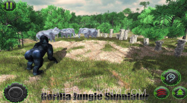 猩猩斗恐龙v3.12截图