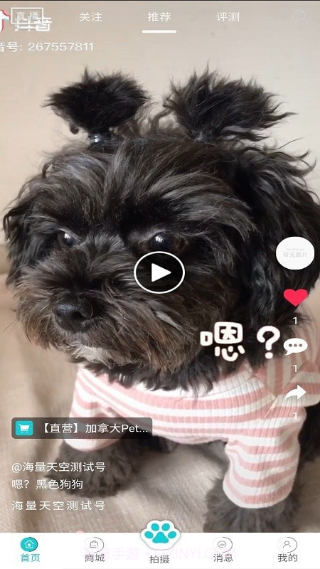 分分宠最新版1.12截图