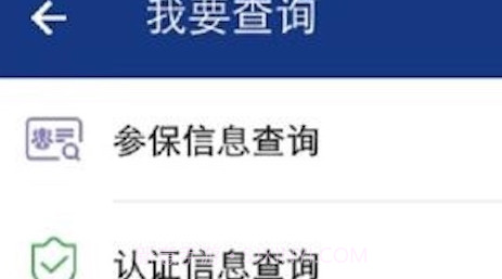 陕西老龄复审v2.1.21截图