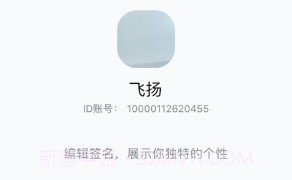 双子座IMv1.1.17截图