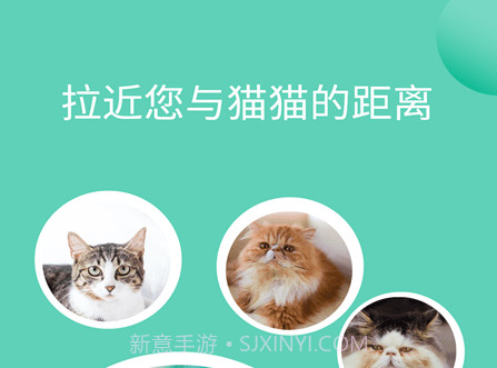 猫猫交流器v3.3.13截图