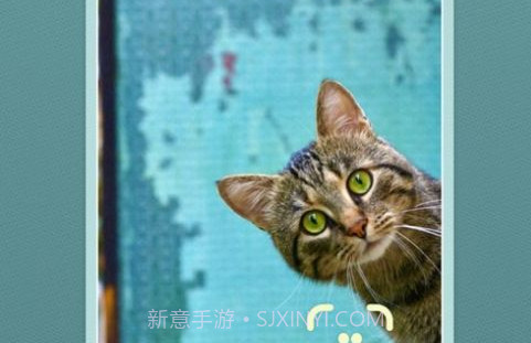 HeyPet萌宠相机V1.10截图