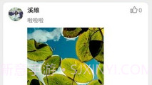 K歌刷粉V2.4.12截图