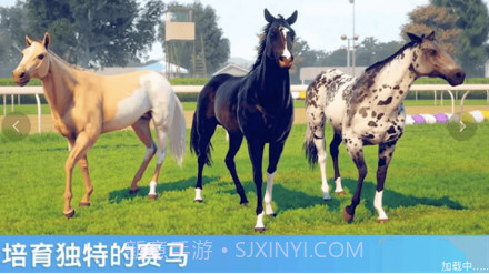 赛马模拟竞速v1.15截图