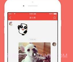 宠宠v1.0.0.10截图