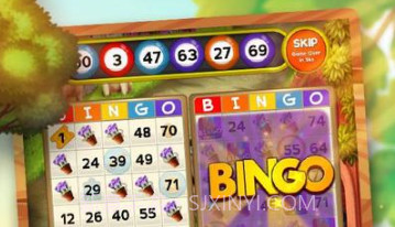 宾果宠物派对v1.0.14截图