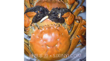爱的饭店v1.18截图