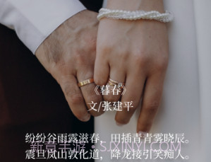 语鹿v1.0.16截图