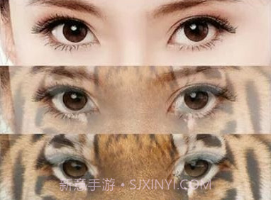 变脸大咖(恶搞变脸大咖)v1.0.16截图