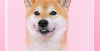 安卓主题动态壁纸v1.16截图