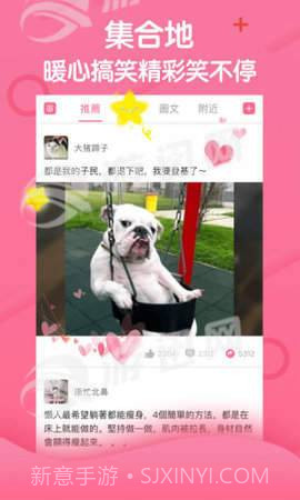段友神评社免费版v1.94截图