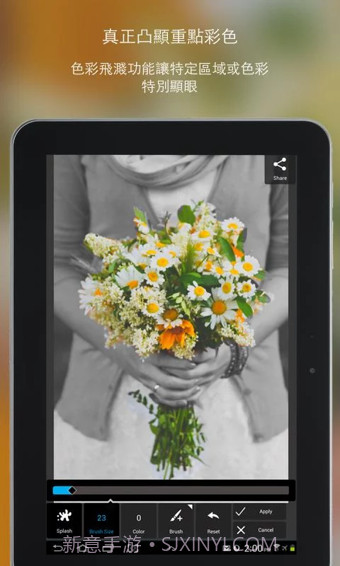 PixlrExpressv1.02截图