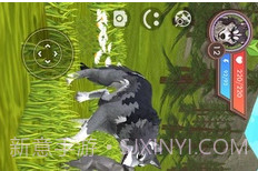 3D动物模拟器13.16截图